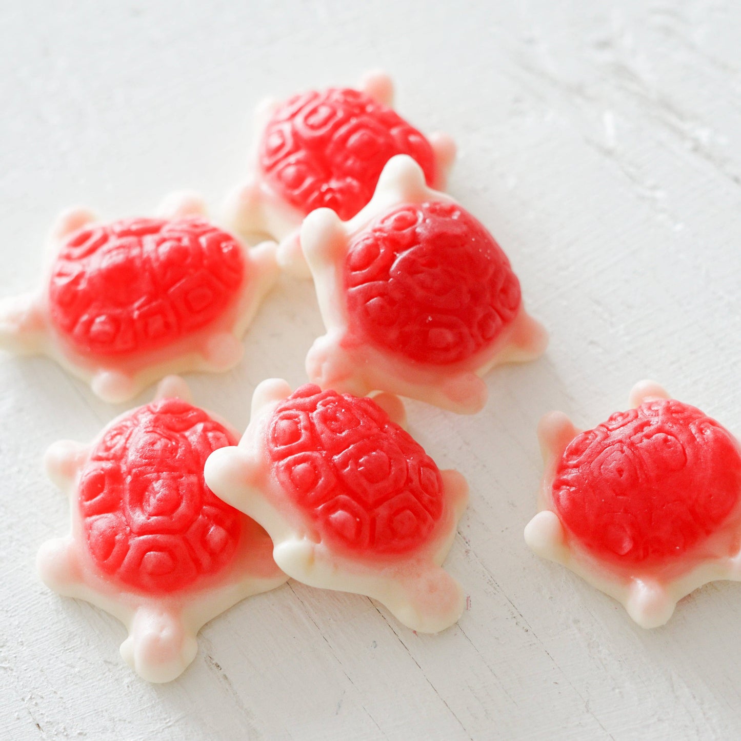 Sea Turtle Gummy Candies